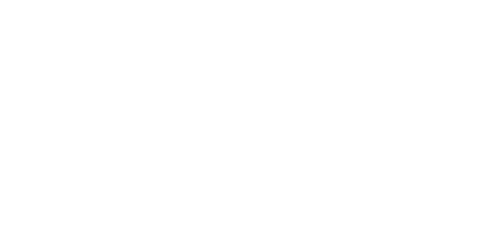 Logo Hoyoyo retina