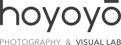 logo de Hoyoyo Visual Lab s.l.